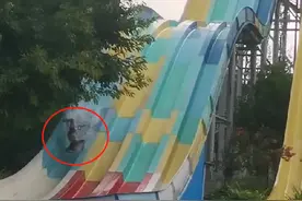 警惕！这种游乐设施千万当心，很多人都爱玩图片