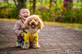 家庭教育小事通|孩子想养宠物怎么办？图片