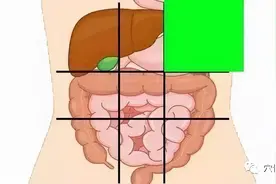 一张腹部地图，让你终身受益图片