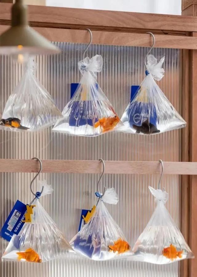 月搜量5w+!游园会婚礼最强攻略