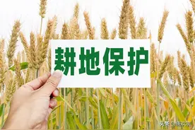 6月份起，中央“退林还耕”政策有重要通知，农民别傻傻不知道。图片