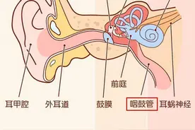 感冒鼻子堵塞时，为什么耳朵也感觉被堵住了？还出现了听力下降图片