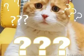 考不同驾照的年龄限制，你知道吗？图片