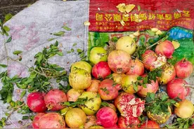 有人不爱吃石榴吗？原因？图片