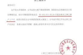 央国企、设计院也开始欠薪停薪了图片