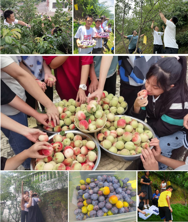 四川省民生研究会新媒体中心-官网