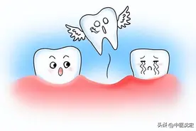 牙齿松动、牙龈萎缩？可能脾肾虚，教你一招补脾肾，调阴阳 固牙齿图片