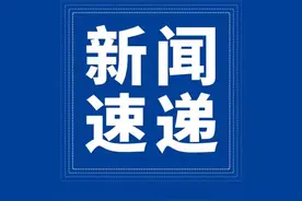 辽宁春季造林已超过30万亩图片