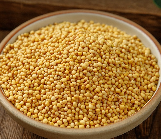 东北家常植物大全(家常植物名称大全图片)-措必培