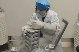 四川省精子捐献情况如何？有哪些补贴福利？来看锦观新闻独家采访图片