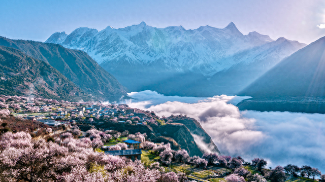 һֵ̨�������й������ǵ��ֻ��������и�ϸ���������أ��ж���ǧ����