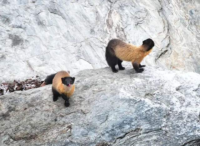 四川省民生研究会新媒体中心-官网