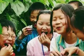世有无根木，桑上寻寄生图片