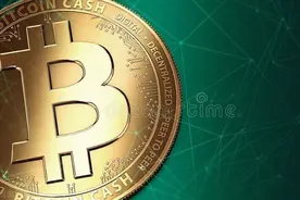 比特币就是一个笑话图片