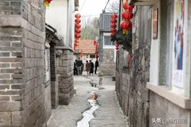 太牛了！山东莱阳一个小村庄，5人考上清华北大，还出了16个博士图片