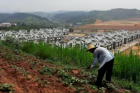 土地二轮承包到期重新承包！新规5月1日起实施，确权证书自动失效图片