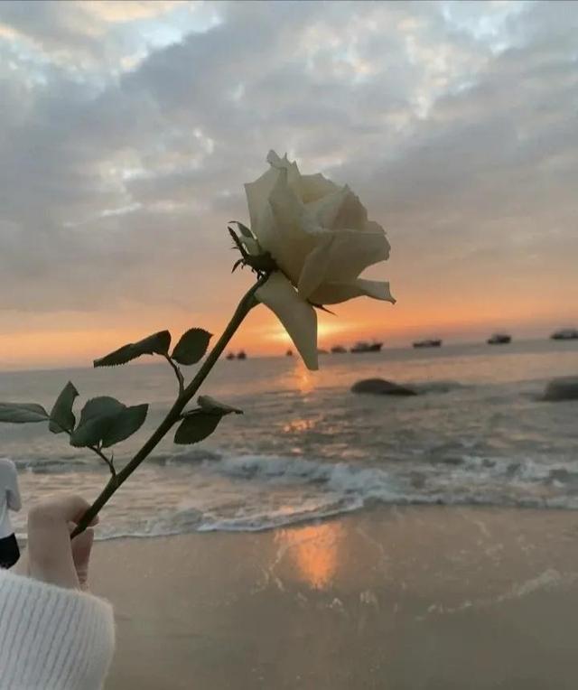 唯美片,励志短句!