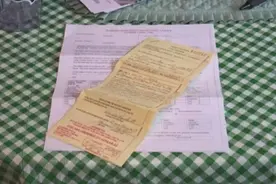 “因为投喂流浪猫，79岁奶奶被判入狱10天？！”图片