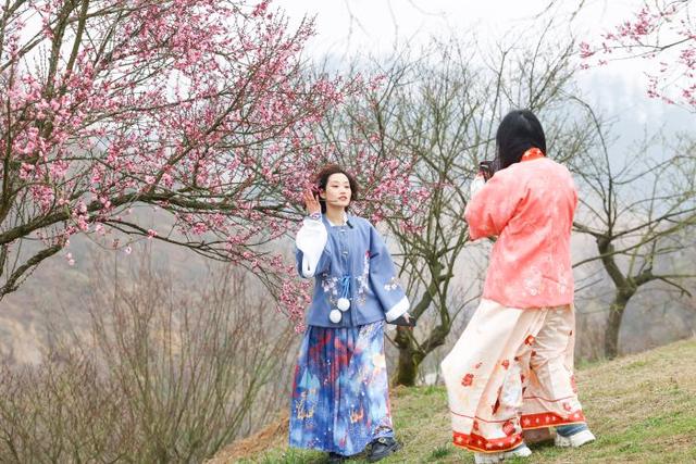 贵州梅园，体验感更好了！