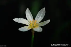 51岁生日刚过两天，他深夜一个人悄悄地走了图片