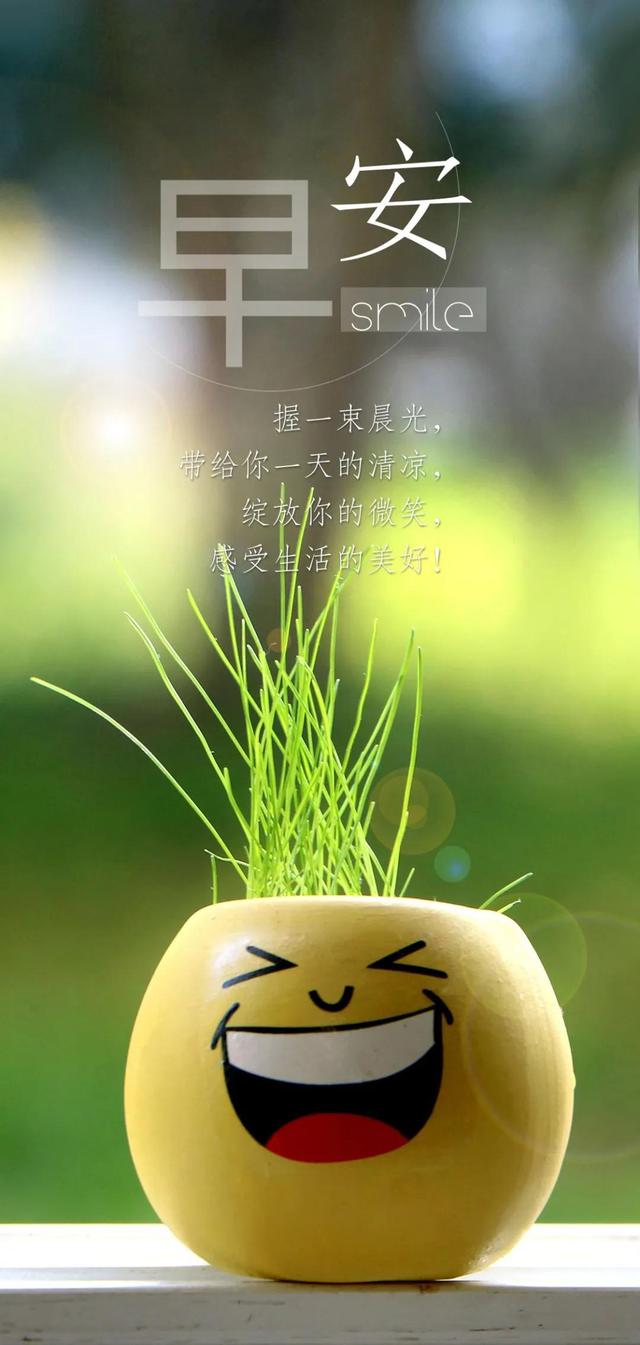 1.12正能量早安问候语,早安打卡唯美句子,早安片
