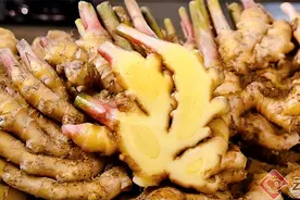 “拼”成大产业 云南小黄姜一天销出上万单图片