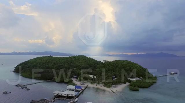 「干货」南洋金珠专题直播精彩集锦，专家教你怎么看南洋珍珠