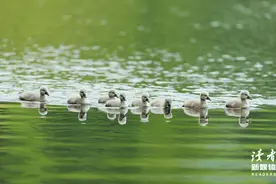 人性三大愚蠢，希望你一个也没有图片