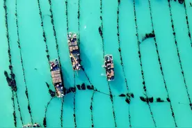 11个全国第一！中国第一农业大省山东，到底多有想象力？图片