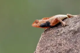 海南大学考研｜当海大人骑上雷公马......图片