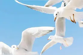 人生最大的困难其实是自己图片