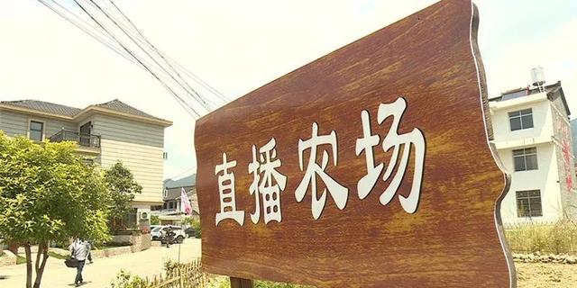 农村值得一试的5大项目,成本低利润高,农村人看看