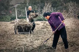 普通人靠自己能改变命运？图片