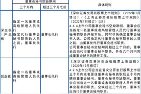 代行董事会秘书、财务总监职责的注意事项图片