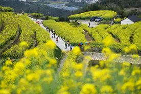 “交换旅游”，靠谱吗？图片