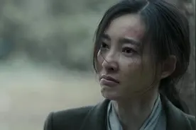 《无间》全员伪装，花向雨日本间谍，方立忍地下党，佛手是什么？图片