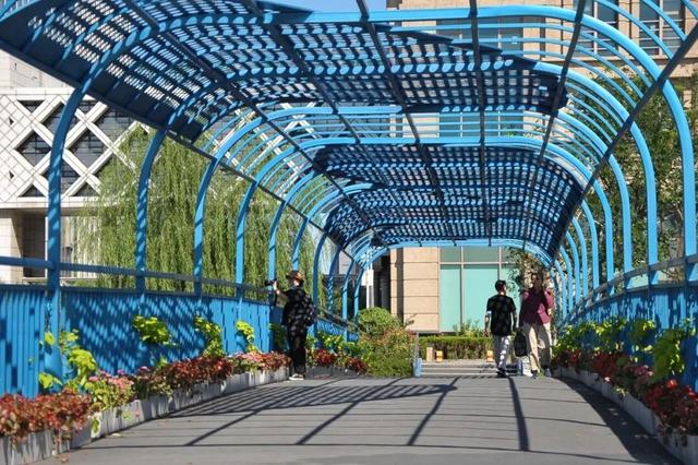 他们获得了2025第三届三联人文城市奖！