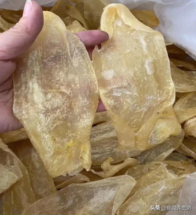 人工合成花胶 人工合成花胶可以吃吗