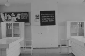 9个邪恶的医学实验图片