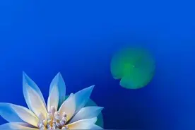 简约大气高级壁纸，蓝天白云干净超清风景图片图片