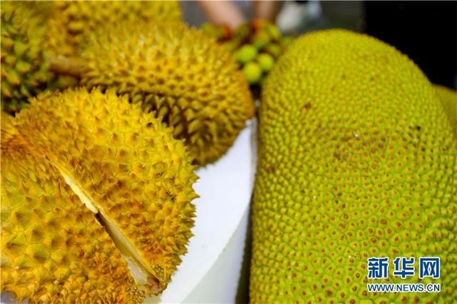 香椿、折耳根、榴莲，谁是臭味top1？