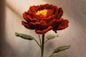 毛线编织漂亮的牡丹花，华丽的4层花瓣，一针一线显手工编织魅力图片