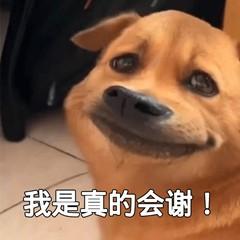 11岁就是小戏骨？徐巍罗圈粉无数，檀健次宋威龙童年都是他？