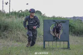 机智勇猛！警犬是这样炼成的图片