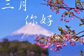 最美人间三月天，三月第一天的优美文案。图片