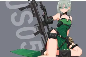 CS/LR系列外贸长枪不完全汇总图片