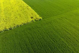 2022中国化肥企业100强：心连心第七，瑞星第11，四川美丰第40图片