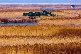 崇明十年发展大事记，哪一件你印象最深？图片