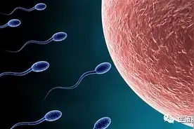 最新研究：男性精子质量连年下降，做到这几点精子质量远超常人！图片
