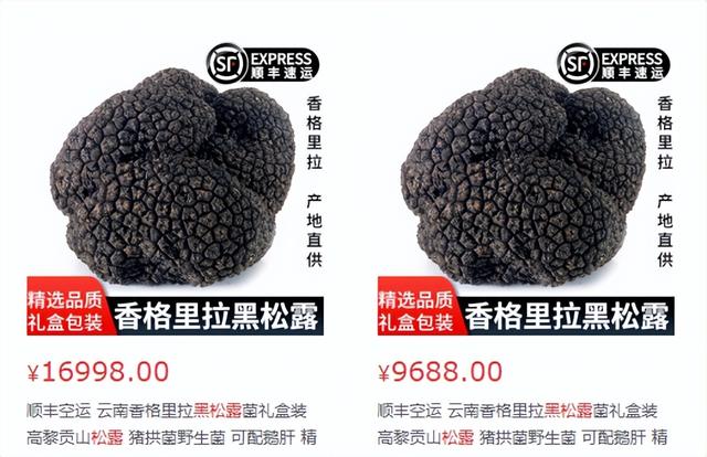 上千元一斤的“黑东西”，靠母猪才能找到！专供城里，到底是啥？